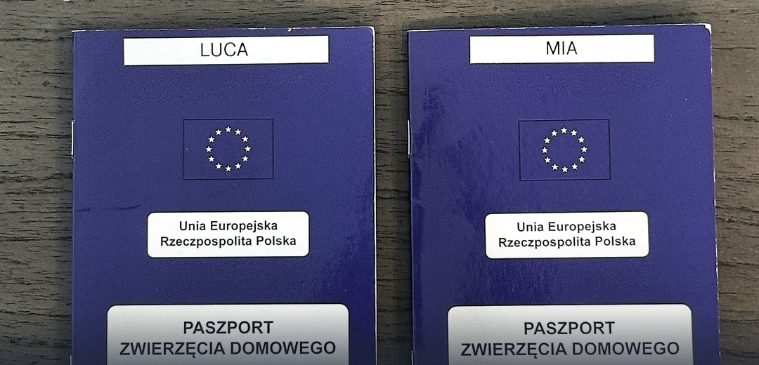 Pet passports ready.