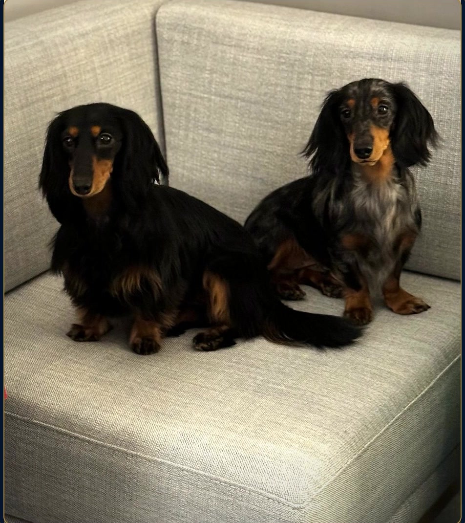 Settling in together.