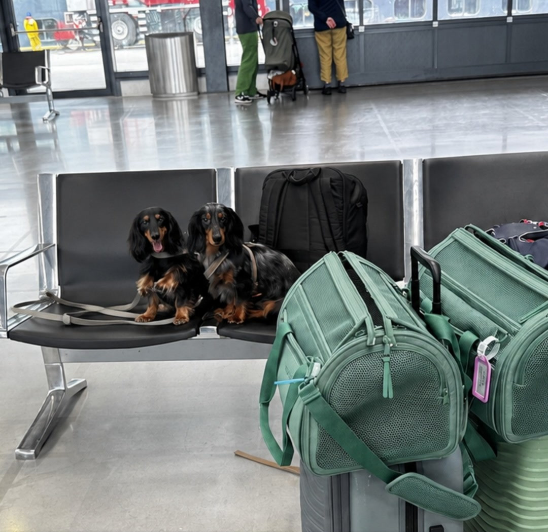 Passengers traveling with VIPs were taken to a special boarding area.