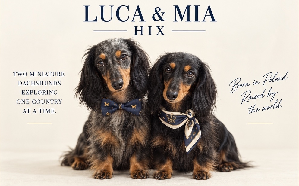 Luca and Mia wearing their navy bow tie and scarf in the approved portrait