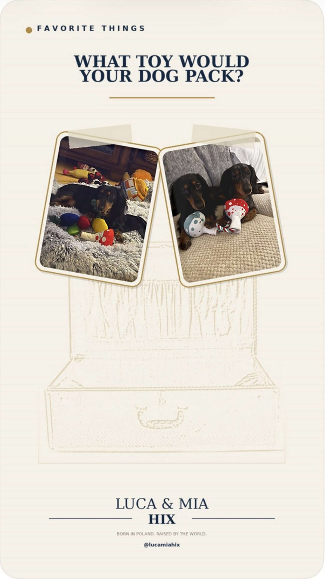 Favorite Things feature asking what toy a dog would pack for a journey